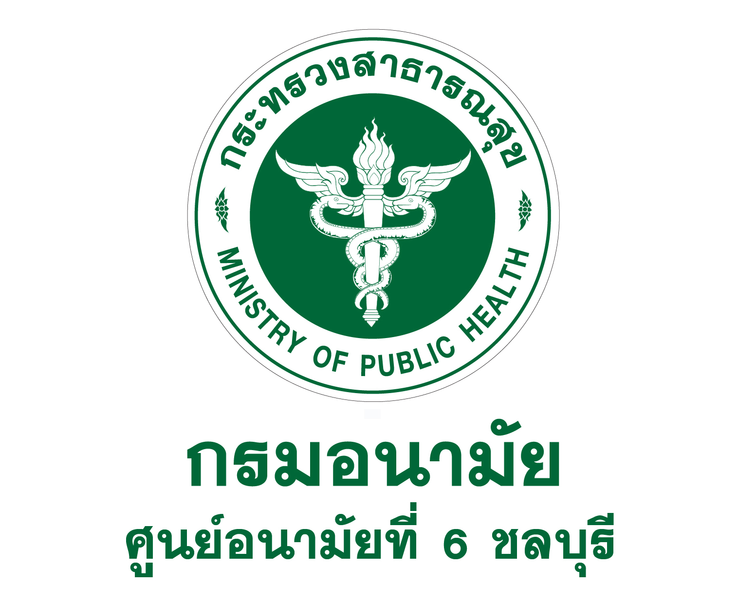 06